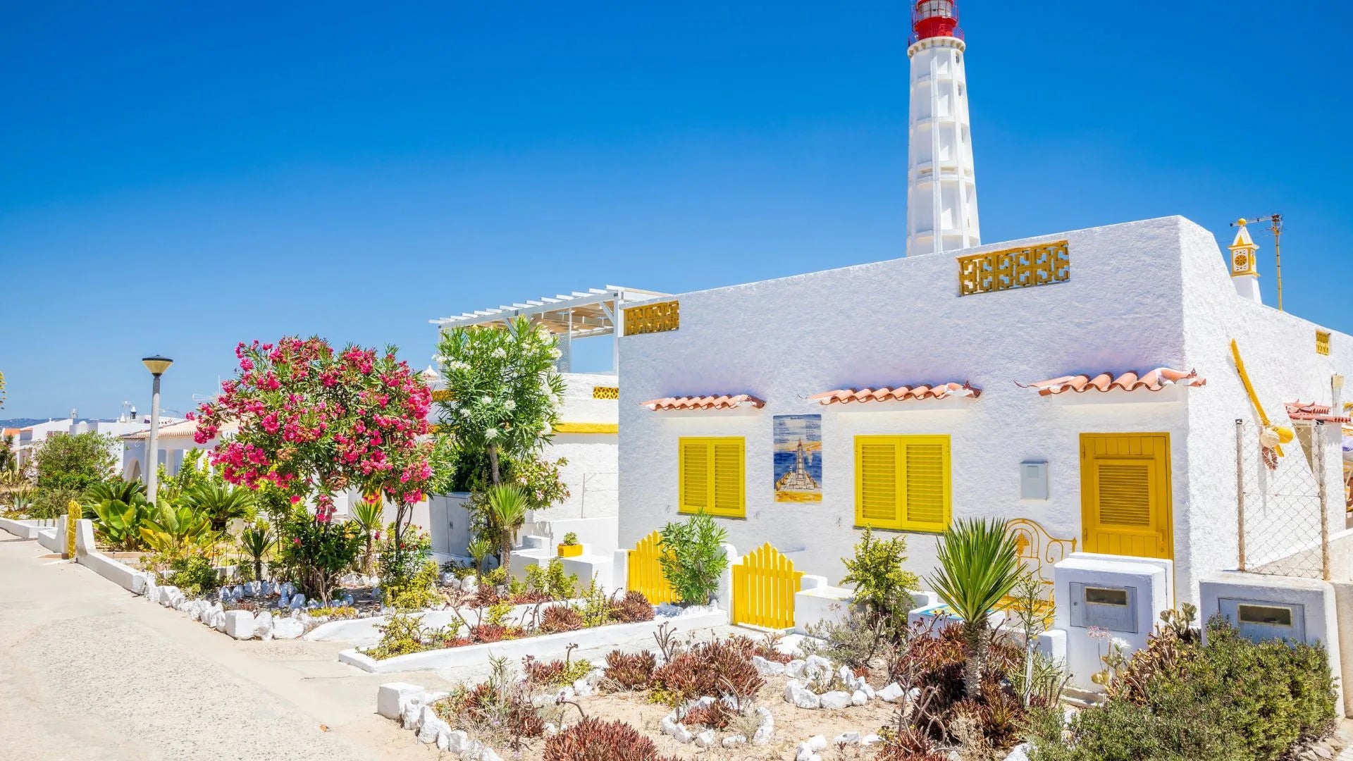 Full Day - 8 Hours Charter - Ria Formosa Islands